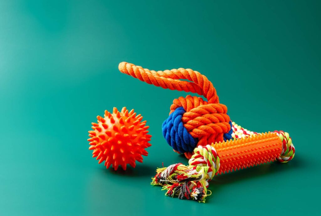 Puppy Teething and Biting: Why Puppies Chew Everything 4 Puppy Teething and Biting