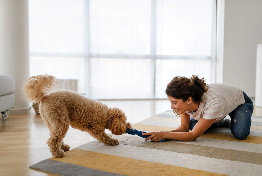 Indoor Exercise for Dogs