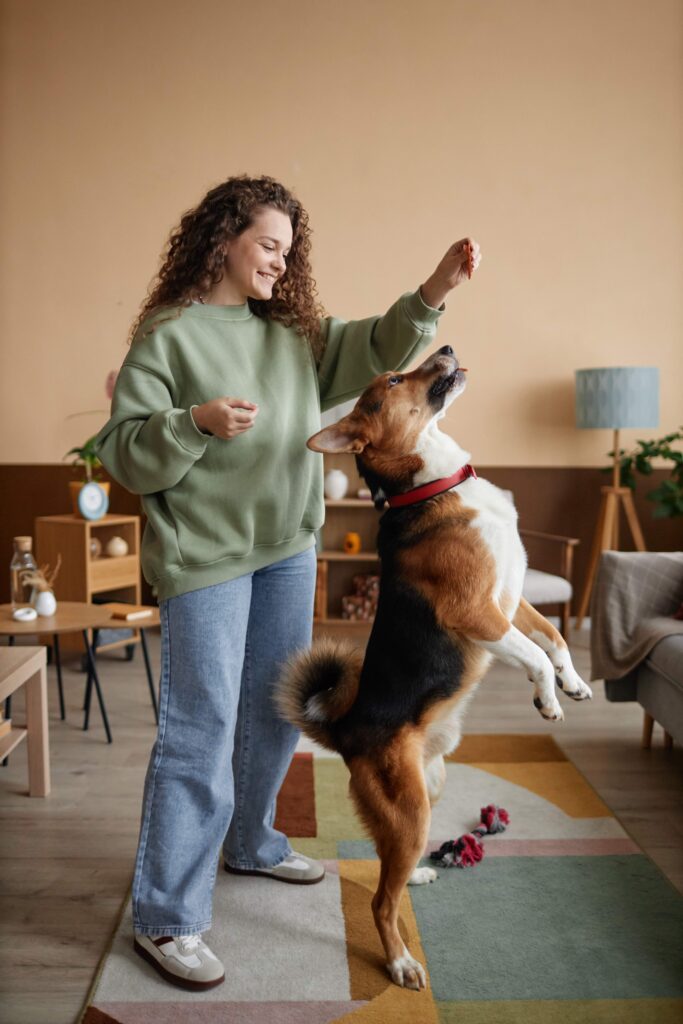 Indoor Exercise for Dogs